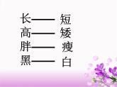 2022年小学生美术第1课色彩的对比冀美版(50张)ppt课件