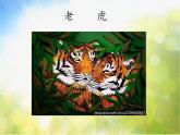 2022年小學(xué)生美術(shù)16.生活中的設(shè)計(jì)冀美版(30張)ppt課件