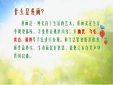 2022年小学生美术第3课漫画与生活冀美版(18张)ppt课件