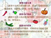2022年小學生美術第5課蔬菜的聯(lián)想蘇少版(17張)ppt課件