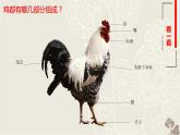 2022年小学 / 美术 / 冀美版 / 四年级上册 / 6. 大花鸡(14张)ppt课件(1)