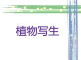 2022年小學(xué) / 美術(shù) / 冀美版 / 三年級(jí)下冊(cè) / 6. 植物寫生(20張)ppt課件