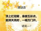 2022年小学 / 美术 / 冀美版 / 四年级上册 / 6. 大花鸡(40张)ppt(1)课件