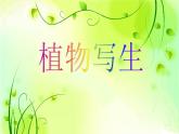 2022年小學(xué) / 美術(shù) / 冀美版 / 三年級(jí)下冊(cè) / 6. 植物寫生(20張)ppt課件