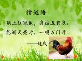 2022年小学 / 美术 / 冀美版 / 四年级上册 / 6. 大花鸡(16张)ppt课件