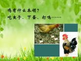 2022年小学 / 美术 / 冀美版 / 四年级上册 / 6. 大花鸡(16张)ppt课件