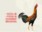 2022年小学 / 美术 / 冀美版 / 四年级上册 / 6. 大花鸡(14张)ppt课件