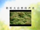 2022年小學(xué) / 美術(shù) / 冀美版 / 三年級(jí)下冊(cè) / 6. 植物寫生(45張)ppt課件