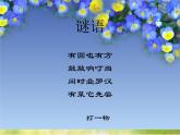 2022年小學(xué) / 美術(shù) / 冀美版 / 五年級(jí)下冊(cè) / 8. 實(shí)用又美觀的盤子(12張)ppt課件