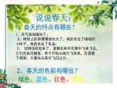 2022年小學(xué) / 美術(shù) / 人教版 / 四年級下冊 / 第11課 走進(jìn)春天(13張)ppt課件