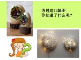 2022年小學(xué) / 美術(shù) / 冀美版 / 四年級(jí)上冊(cè) / 10. 蛋殼創(chuàng)意玩具(33張)ppt課件