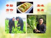 2022年小學(xué) / 美術(shù) / 冀美版 / 五年級(jí)上冊(cè) / 11. 學(xué)畫疏果(39張)ppt課件