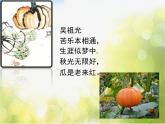 2022年小學(xué) / 美術(shù) / 冀美版 / 五年級(jí)上冊(cè) / 11. 學(xué)畫疏果(39張)ppt課件