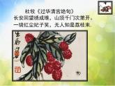 2022年小學(xué) / 美術(shù) / 冀美版 / 五年級(jí)上冊(cè) / 11. 學(xué)畫疏果(39張)ppt課件