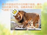 2022年小學(xué) / 美術(shù) / 冀美版 / 一年級(jí)下冊(cè) / 13. 威武的獅子(17張)ppt課件