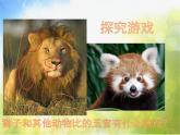 2022年小學(xué) / 美術(shù) / 冀美版 / 一年級(jí)下冊(cè) / 13. 威武的獅子(17張)ppt課件
