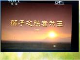 2022年小學(xué) / 美術(shù) / 冀美版 / 一年級(jí)下冊(cè) / 13. 威武的獅子(21張)ppt課件