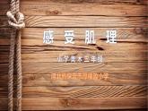 2022年小學(xué) / 美術(shù) / 冀美版 / 三年級下冊 / 12. 感受肌理(12張)ppt課件