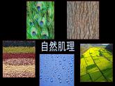 2022年小學(xué) / 美術(shù) / 冀美版 / 三年級下冊 / 12. 感受肌理(12張)ppt課件
