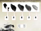 2022年小學(xué) / 美術(shù) / 冀美版 / 五年級上冊 / 12. 學(xué)畫花卉(41張)ppt課件