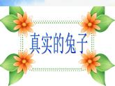 2022年小學(xué) / 美術(shù) / 冀美版 / 一年級(jí)下冊(cè) / 12.小兔的奇遇(21張)ppt課件