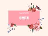 2022年小學(xué) / 美術(shù) / 冀美版 / 三年級下冊 / 12. 感受肌理(14張)ppt課件