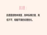 2022年小學(xué) / 美術(shù) / 冀美版 / 三年級下冊 / 12. 感受肌理(14張)ppt課件