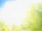 2022年小學(xué) / 美術(shù) / 冀美版 / 三年級下冊 / 12. 感受肌理(15張)ppt課件