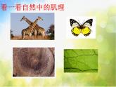 2022年小學(xué) / 美術(shù) / 冀美版 / 三年級下冊 / 12. 感受肌理(15張)ppt課件