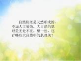 2022年小學(xué) / 美術(shù) / 冀美版 / 三年級下冊 / 12. 感受肌理(15張)ppt課件