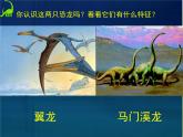 2022年小學(xué) / 美術(shù) / 冀美版 / 三年級(jí)下冊(cè) / 14. 遠(yuǎn)古的恐龍(21張)ppt課件
