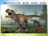 2022年小學(xué) / 美術(shù) / 冀美版 / 三年級(jí)下冊(cè) / 14. 遠(yuǎn)古的恐龍(17張)ppt課件