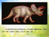 2022年小學(xué) / 美術(shù) / 冀美版 / 三年級(jí)下冊(cè) / 14. 遠(yuǎn)古的恐龍(22張)ppt課件