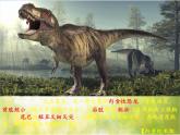 2022年小學(xué) / 美術(shù) / 冀美版 / 三年級(jí)下冊(cè) / 14. 遠(yuǎn)古的恐龍(14張)ppt課件