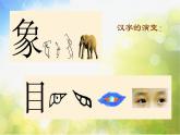 2022年小学 / 美术 / 苏少版 / 四年级下册 / 17 字的联想(17张)ppt课件