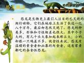 2022年小學(xué) / 美術(shù) / 冀美版 / 三年級(jí)下冊(cè) / 14. 遠(yuǎn)古的恐龍(38張)ppt課件