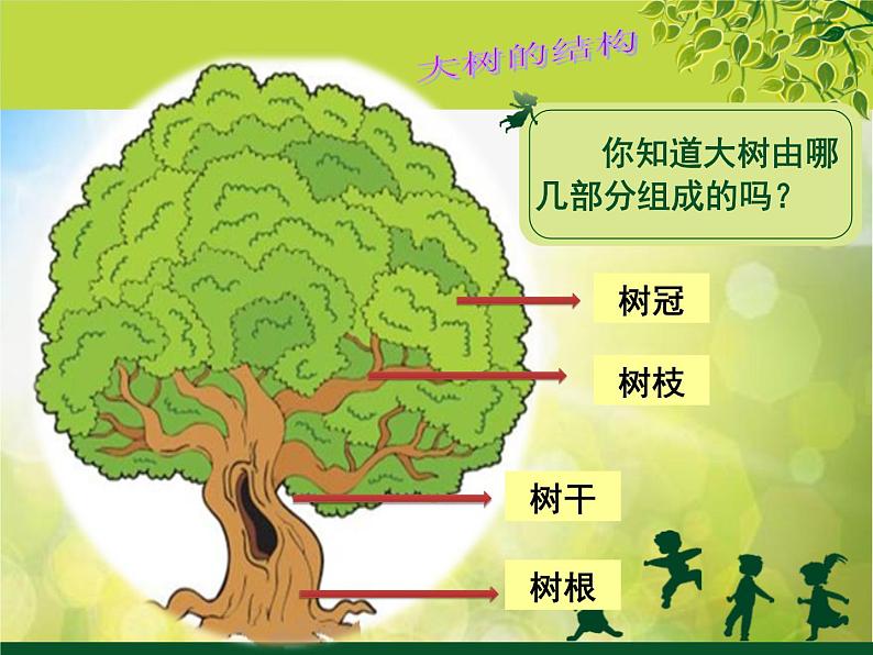 2022年小学  美术  冀美版  一年级下册  19. 大树的故事(18张)ppt课件第3页