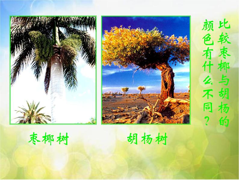 2022年小学 / 美术 / 冀美版 / 一年级下册 / 19. 大树的故事(35张)ppt课件06