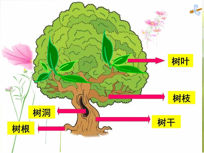 2022年小学  美术  冀美版  一年级下册  19. 大树的故事(12张)ppt课件第3页