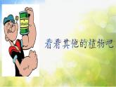2022年小學(xué) / 美術(shù) / 冀美版 / 三年級(jí)下冊(cè) / 6. 植物寫生(15張)ppt課件