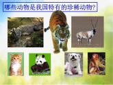 2022年小學(xué) / 美術(shù) / 人美版 / 一年級下冊 / 12. 可愛的動物(21張)(1)課件