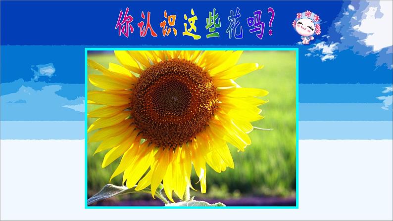 浙美版小学美术二年级下册   2.盛开的鲜花  课件04