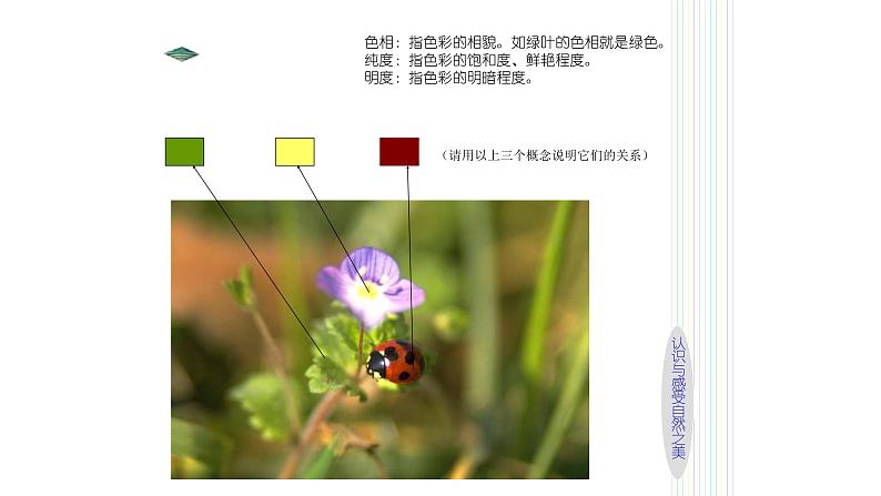 浙美版小学美术二年级下册   3.田园风光   课件第4页