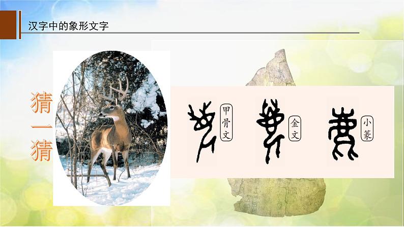 2022年小学  美术  人教版  一年级下册  第20课 汉字中的象形(31张)ppt课件第7页