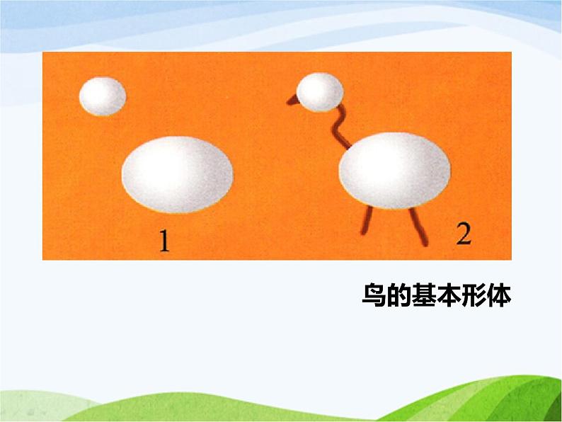 《候鸟的乐园》课件第5页