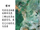 二年級(jí)下冊(cè)美術(shù)課件-2.3美妙多變的線條丨嶺南版(共37張PPT)