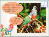 美術(shù)一年級下冊課件-5.快樂的小鳥-嶺南版