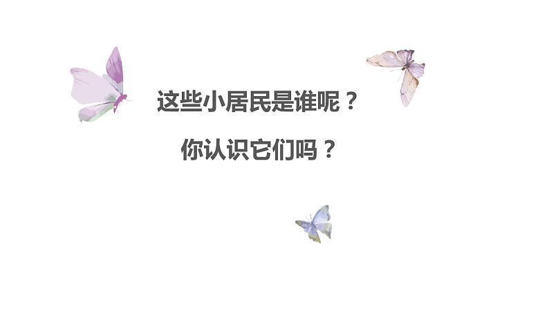 一年级下册美术课件-6.昆虫王国｜岭南版03