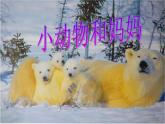 一年級下冊美術課件-第8課小動物和媽媽｜嶺南版(共34張PPT)