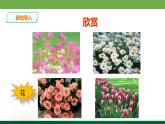 二年級下冊美術(shù)課件-2.5美麗的花園丨嶺南版(共18張PPT)
